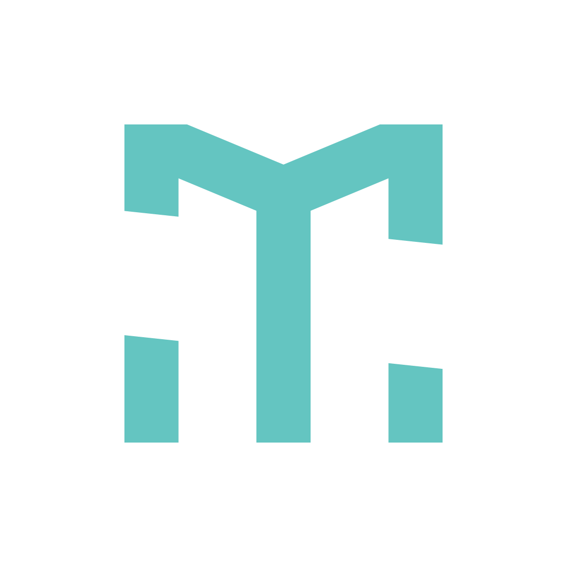 Sport Medicine Physiotherapy logo -light